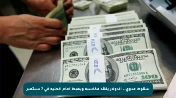 سقوط مدوي.. الدولار يفقد مكاسبه ويهبط أمام الجنيه في 7 سبتمبر